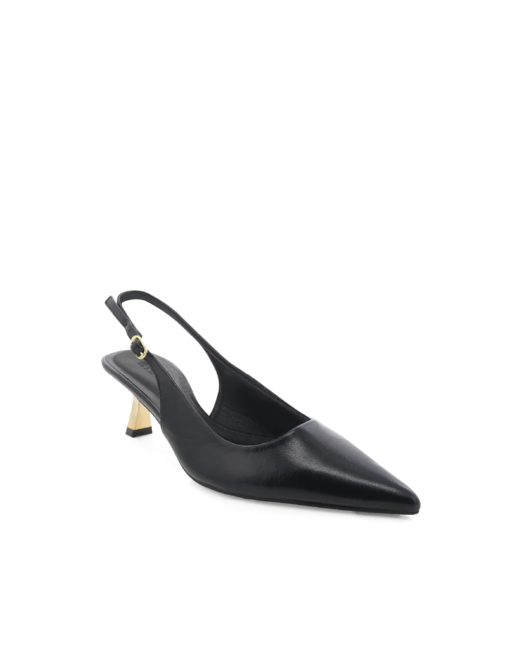 ANAYA - BLACK SHINE-GOLD