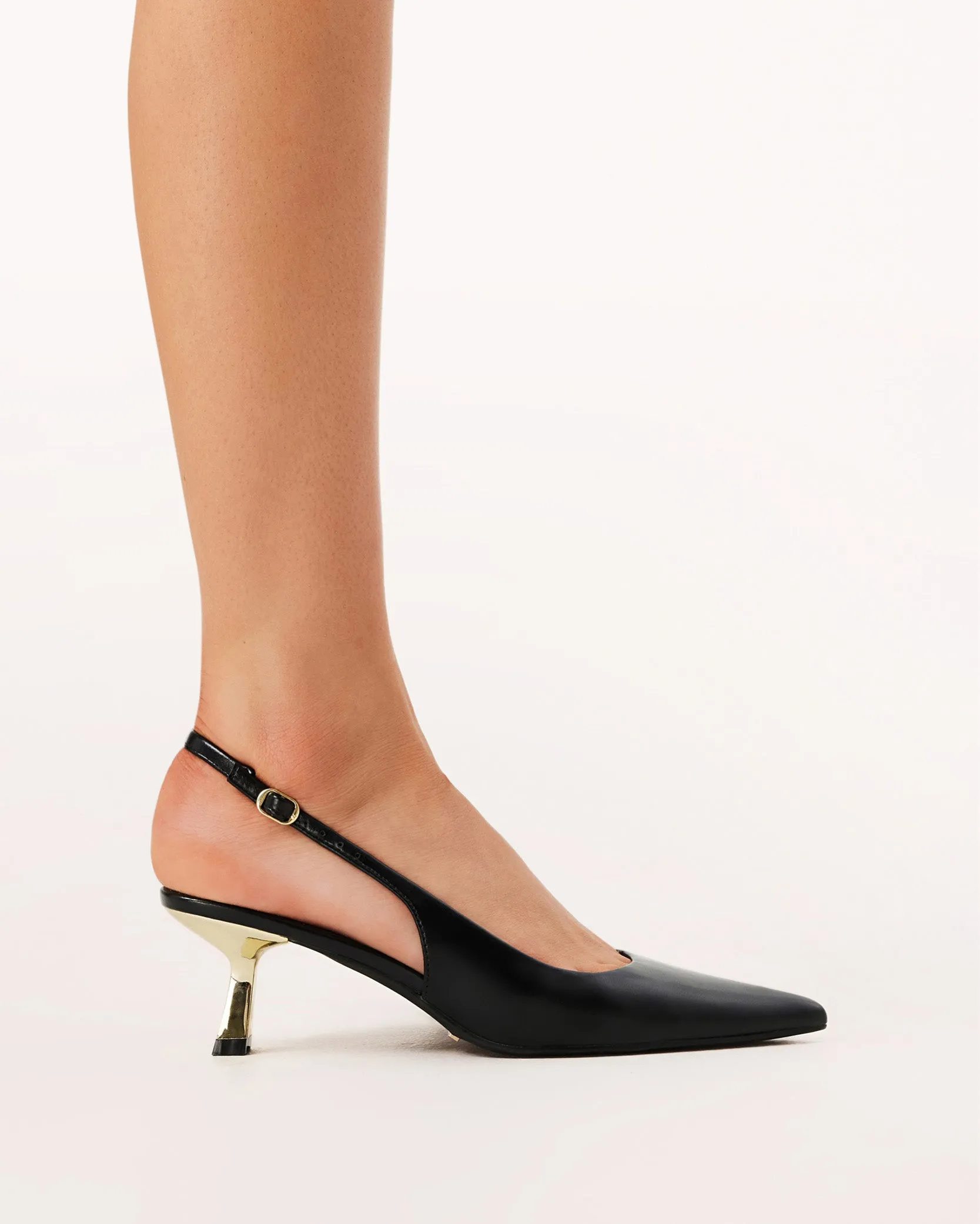 ANAYA - BLACK SHINE-GOLD
