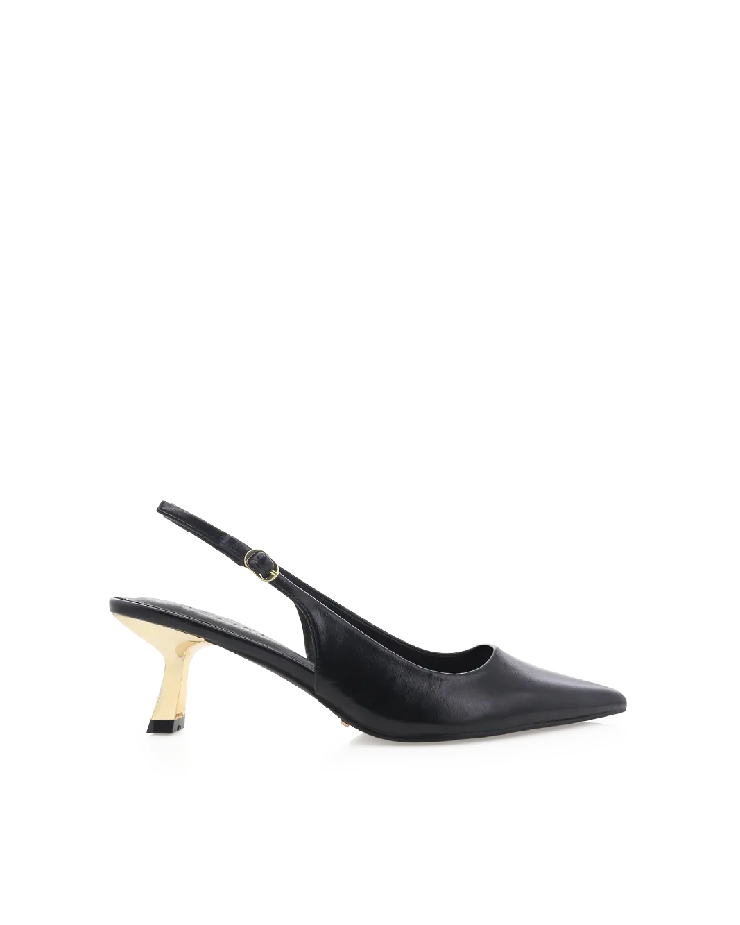 ANAYA - BLACK SHINE-GOLD