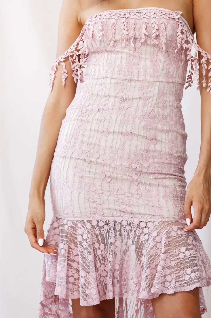 Fairytale Embroidered Mesh High Low Hem Dress Blush
