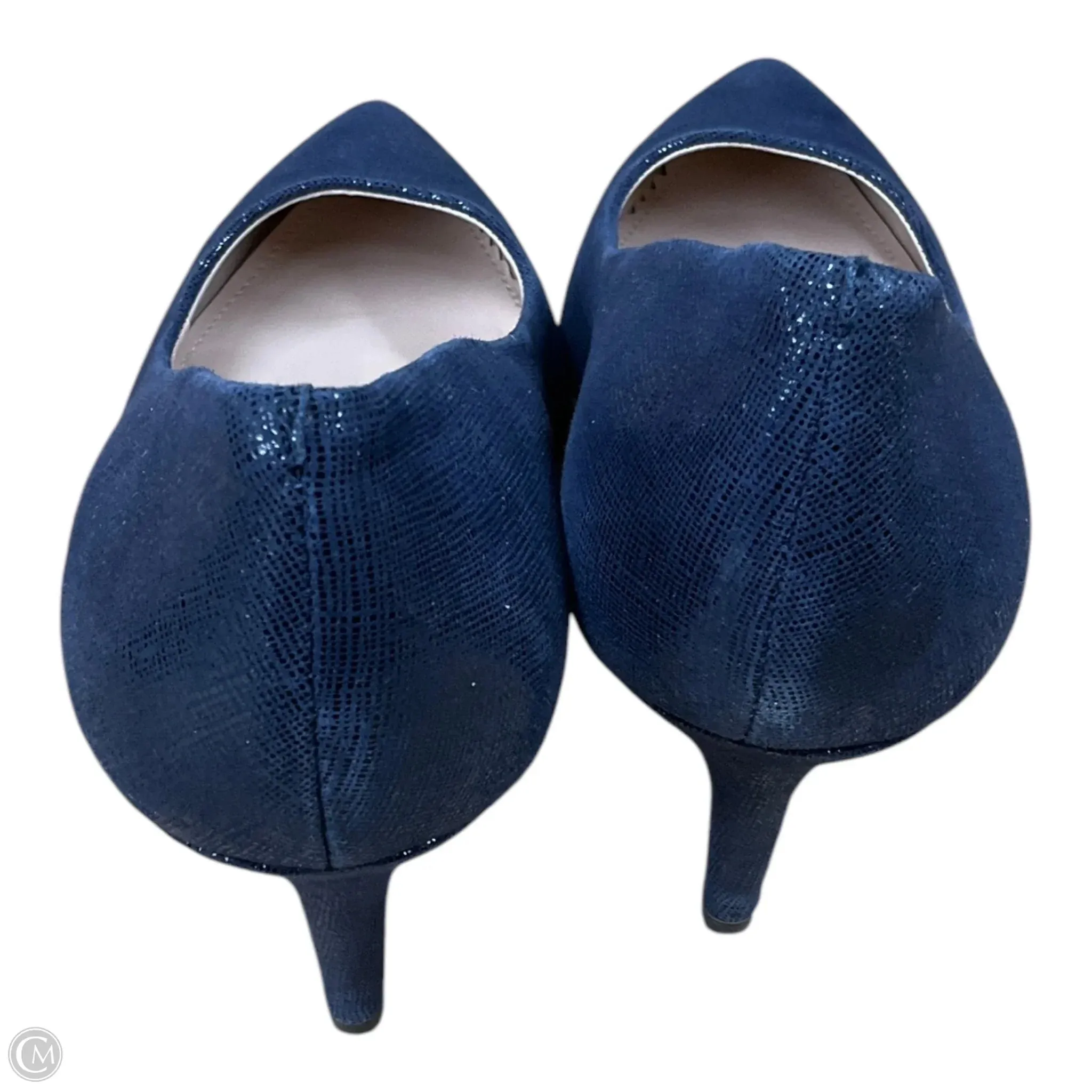 Shoes Heels Stiletto By Clothes Mentor In Blue, Size: 8.5