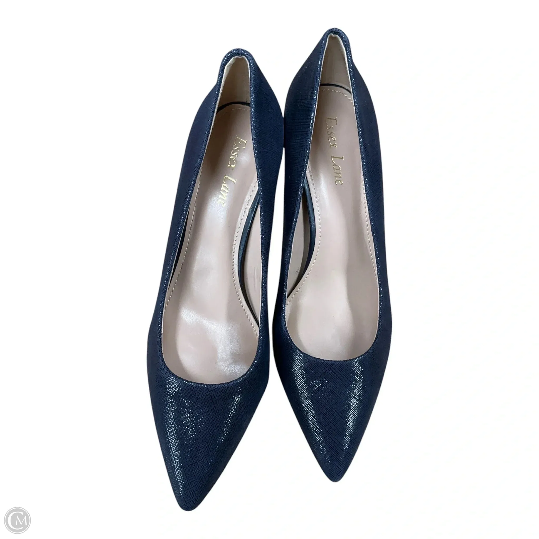 Shoes Heels Stiletto By Clothes Mentor In Blue, Size: 8.5